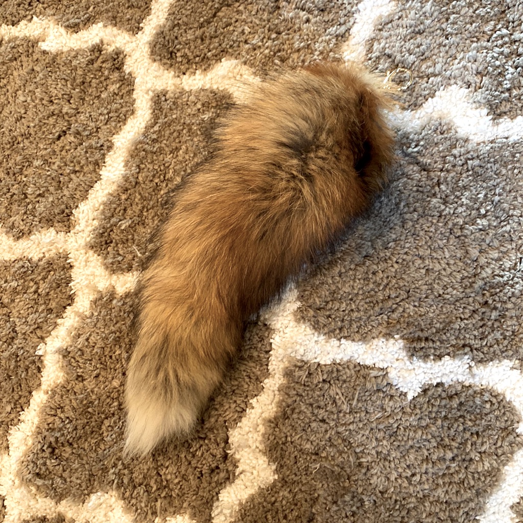 Fox Tail!